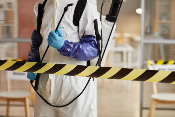 Professional Sewage Cleanup technician working in Terra Bella, CA